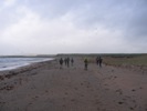 The path went along this very windy beach