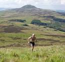 Ronnie tracked Andy to East Lomond