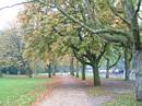 Most of the route was on the streets and over canals but there was a short bit through a  park