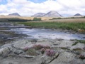 The Paps of Jura, the next day