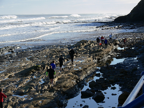 A rough section of the course just prior to climbing onto the tops of the cliffs