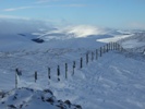 View from summit of Caerketton