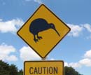 caution kiwi