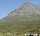 Runners approach Glamaig