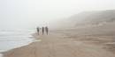 the beach and haar